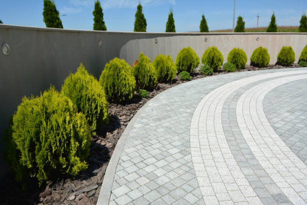 Best Residential Driveway Paver Services  in Lake Mills, IA
